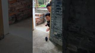 Best Chinese Funny Videos  shortsytshorts [upl. by Hort86]