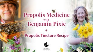 Propolis with Benjamin Pixie  Propolis Tincture Recipe [upl. by Andrey]