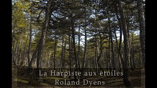 La harpiste aux étoiles  Roland Dyens  Guitar Emre Ünlenen [upl. by Nemraciram]