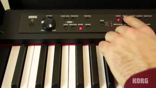 Korg LP380 Digital Piano [upl. by Kcirevam409]