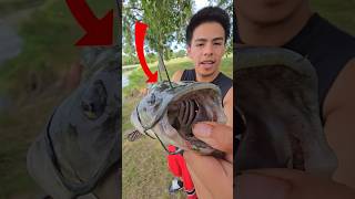 LITTLE KID VS 10 POUND BASS 😨😯 shorts [upl. by Borg520]