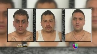 Banda de secuestradores fue capturada en México  Primer Impacto [upl. by Algar]