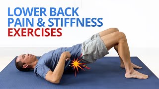 INSTANT RELIEF from Lower Back Pain and Stiffness 4 EASY Exercises [upl. by Eilyac]