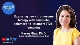 Exploring new chromosome biology with complete telomeretotelomere T2T genomes [upl. by Ainoda]