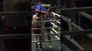 🇦🇫 Afghanistan vs New Zealand 🇳🇿  Intense Muay Thai Highlights muaythai boxing combatsport [upl. by Florry]