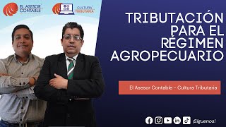 TRIBUTACIÓN PARA EL RÉGIMEN AGROPECUARIO l Cultura Tributaria l PROGRAMA COMPLETO [upl. by Lesley]