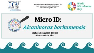 MicroID Alcanivorax borkumensis [upl. by Ecilahs]