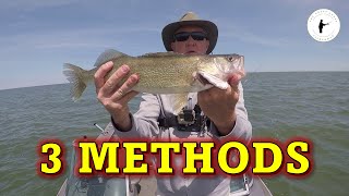 Three Methods for Catching Lake Erie Walleye [upl. by Gorman664]