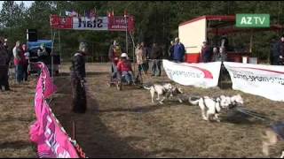 AZTV Spezial Schlittenhunderennen Kunrau 2012 [upl. by Melesa]