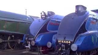 Shildon  Pacifics on Parade amp The A4 Shuffle [upl. by Jesse]