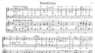 Kircher  St Martinusmesse  Benedictus  Tenor [upl. by Dlanger]