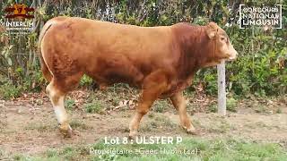 LOT 8  ULSTER P  Vente Grand Cru 2024 [upl. by Narhem]