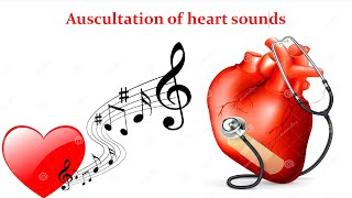 Heart sounds  physiology  شرح السكشن الرابع فسيولوجي [upl. by Enelyad312]