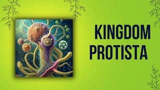 kingdom protista LearnQuest [upl. by Clarhe]