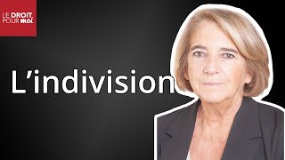 Lindivision  par Annie MunigliaReddon avocate membre du réseau Gesica [upl. by Errehs]