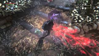 Bloodborne  Executioners vs Vilebloods A Neverending Struggle PvP [upl. by Violette626]