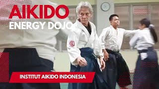 合気道  Institut Aikido Indonesia  Gana Murti Sensei 6th DAN Aikikai  Energy Dojo [upl. by Miahc996]