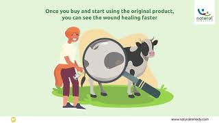 Heal Livestock Wounds Fast with Genuine Topicure Advance ™ [upl. by Rafaelof471]