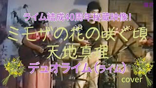 ミモザの花の咲く頃天地真理デュオライムライムcover [upl. by Hertha]