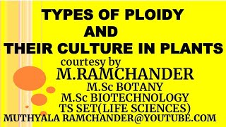 Types of PLOIDY and THEIR CULTURE IN PLANTS [upl. by Edmund]