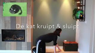 PeuterKleuteractiviteit  Coco kan het  Kijk uit voor de kat [upl. by Ihcehcu]