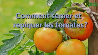 Comment SEMER et REPIQUER les TOMATES [upl. by Silado]