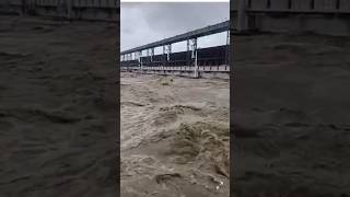 Kosi Nadi barrage pani ka raftar dekh sakte hain Kitna jyada badha hua hai 😭🙏😱shortvideo shorts 😂 [upl. by Gian]