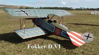 Fokker DVI [upl. by Hnil]