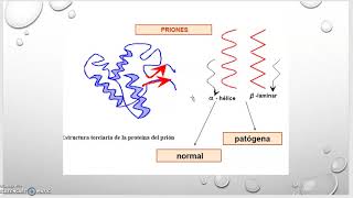 Priones y viroides [upl. by Ameyn]