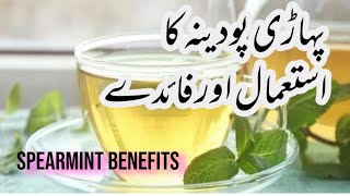 Spearmint tea benefits  Pahari pudina k faidy  tips amp tricks with sam [upl. by Prescott]