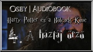 Harry Potter és a Bölcsek Köve hangoskönyv  4 fejezet [upl. by Nahtanod]