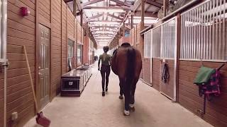 Horse Back Rider Talks about Treating Skin Cancer without Surgery [upl. by Nole]