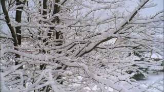 Chanson de Noel  Vive le Vent  Ginette Reno [upl. by Nnahgem]