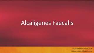 Pronunciation of the words quotAlcaligenes Faecalisquot [upl. by Khalsa]