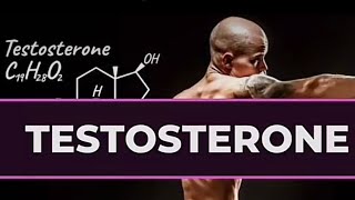 How testosterone [upl. by Eniagrom]