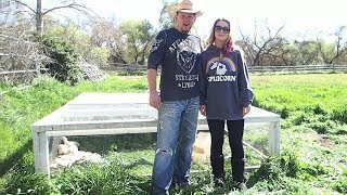 Moving Cornish X out to pasture at The Crouch Ranch [upl. by Doreg]