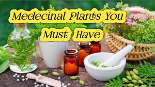 🔴Amazing health benefits of medicinal 💊plants  Medecinal Herbs Gardeningchannel2024 [upl. by Brookes741]