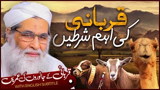 Qurbani Ke Janwar Ki Sharait Or Umren  Qurbani Ka Bakra  Bakra Eid Special  Maulana Ilyas Qadri [upl. by Yuria41]