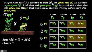 Ex Dividing Complex Numbers [upl. by Cimbura]