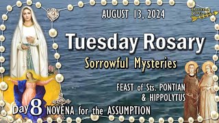 🌹TUESDAY Rosary🌹FEAST of Sts PONTIAN amp HIPPOLYTUS ♰ ASSUMPTION NOVENA DAY8 Sorrowful Mysteries [upl. by Riebling]