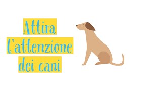 Suoni per Cani  Richiamo per cani [upl. by Bernelle36]