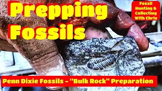 Prepping Fossils  Penn Dixie Fossil Bulk Trilobite Preparation Fossil Hunting amp Collecting W Chris [upl. by Emma]