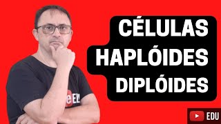 CÉLULAS HAPLÓIDE E DIPLÓIDE [upl. by Chard]