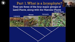 Bryophytes Module 1 What is a bryophyte [upl. by Isus]