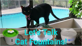 Review of Our 3 Cat Fountains [upl. by Adelaida]