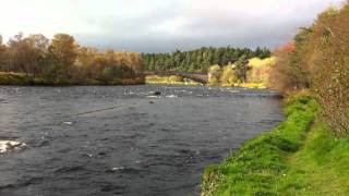 Grantown on Spey River Spey Scotland [upl. by Sillaw]