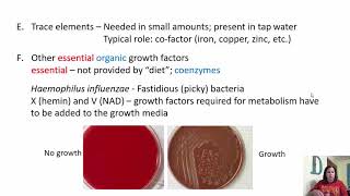 Chapter 6 Microbial Growth [upl. by Mackenie]