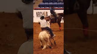 Fort Worth Futurity 2024 [upl. by Dnalevelc622]