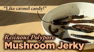 You can Forage and Make Mushroom Jerky from Resinous Polypore 🍄‍🟫 [upl. by Odidnac]