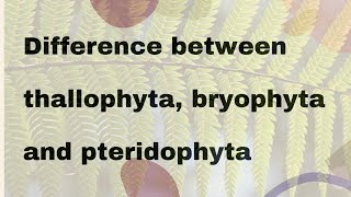 Difference between thallophyta bryophyta and pteridophyta [upl. by Gone]